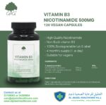 VITAMIN B3 NICOTINAMIDE 500MG 120 VEGAN CAPSULES