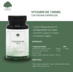 VITAMIN B6 100MG - 120 VEGAR CAPSULES