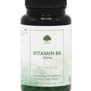 vitamin-b6-100mg-supplement-MAIN